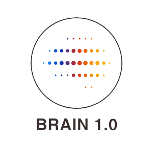 rREST – Brain 1.0 rREST - Brain 1.0