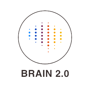 rREST – Brain 2.0 rREST - Brain 2.0
