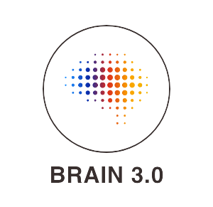 rREST – Brain 3.0 rREST - Brain 3.0